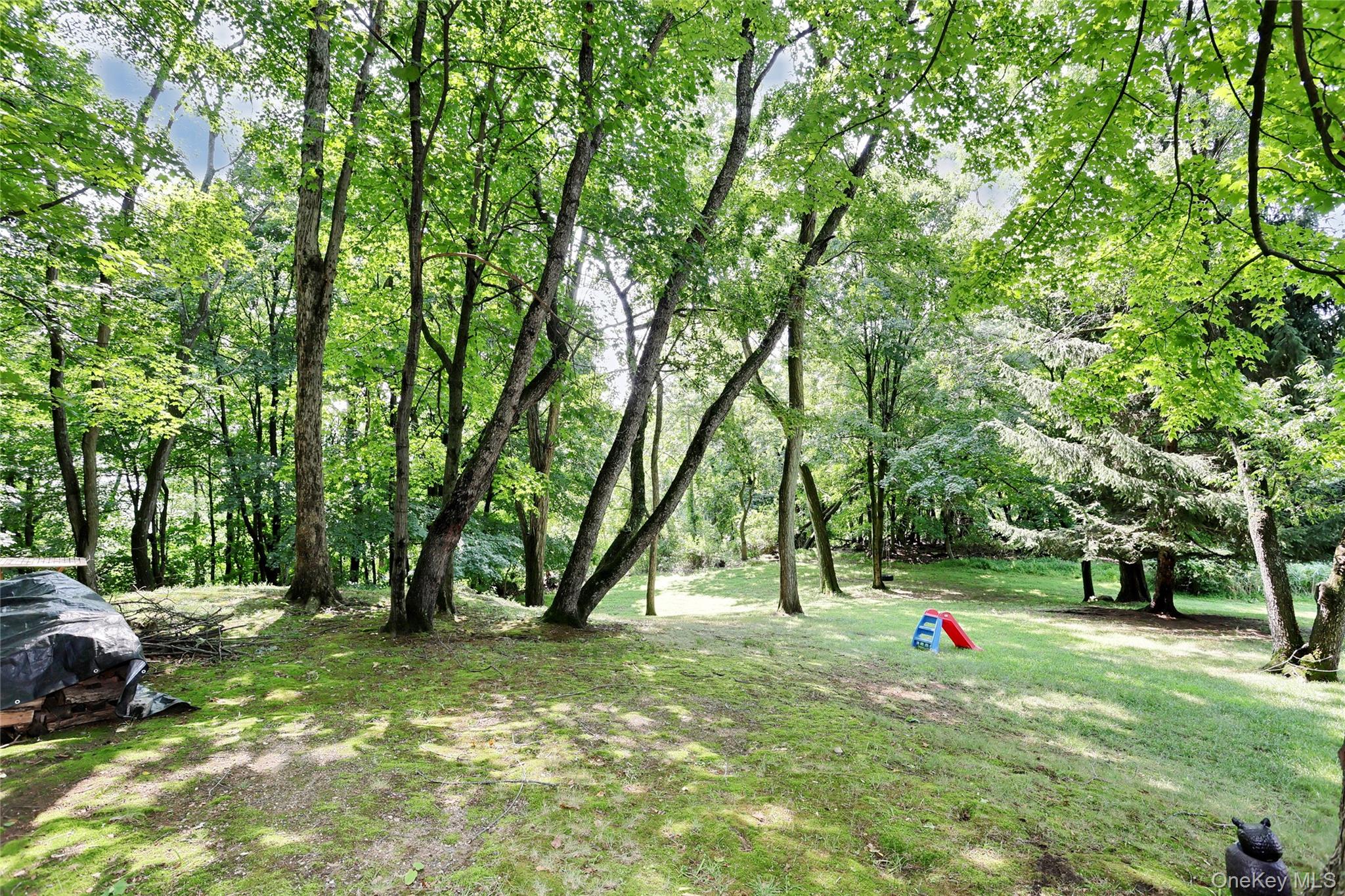 92 Piermont Place Property Photo 33