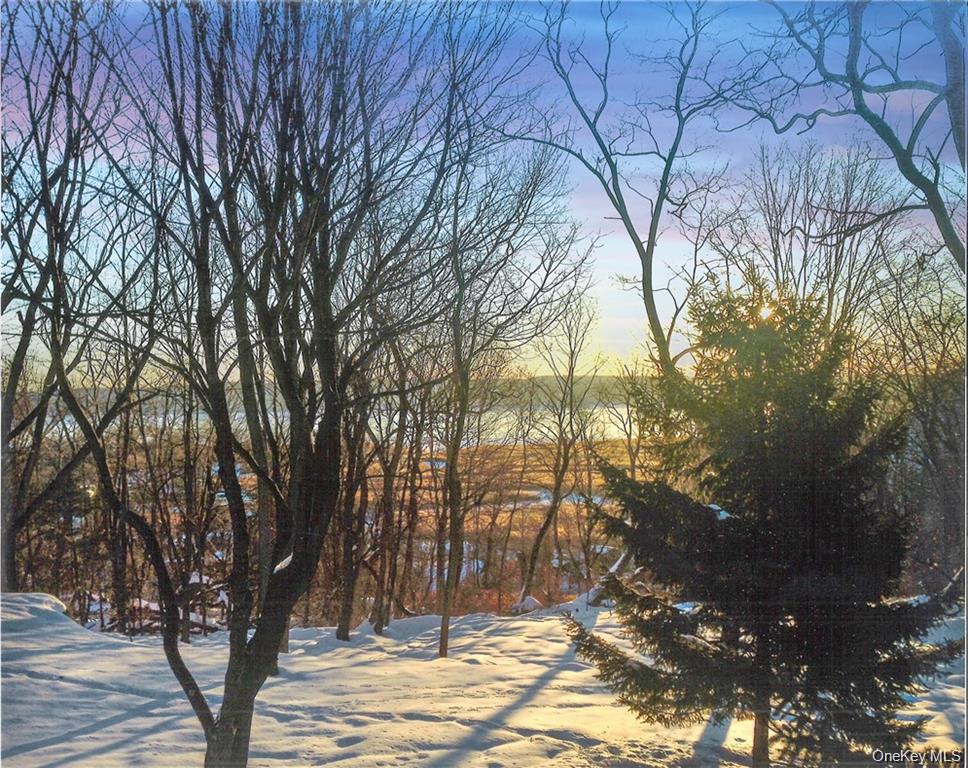 92 Piermont Place Property Photo 34