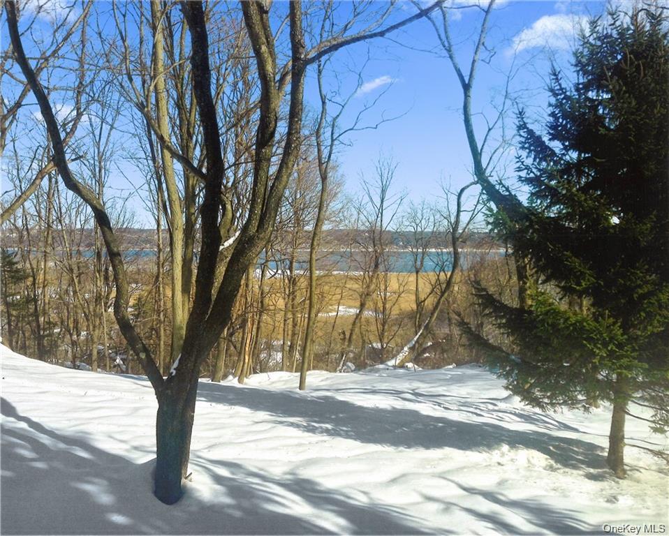 92 Piermont Place Property Photo 35
