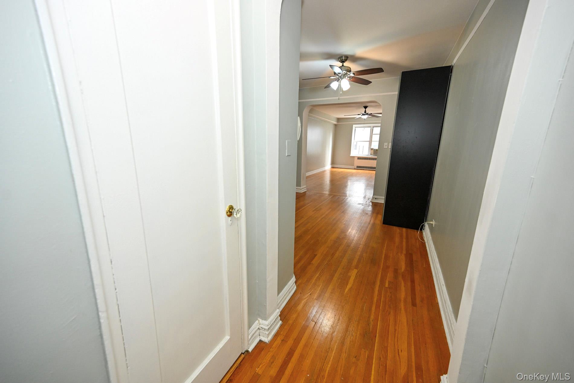 61-41 Saunders Street B25 Property Photo 10