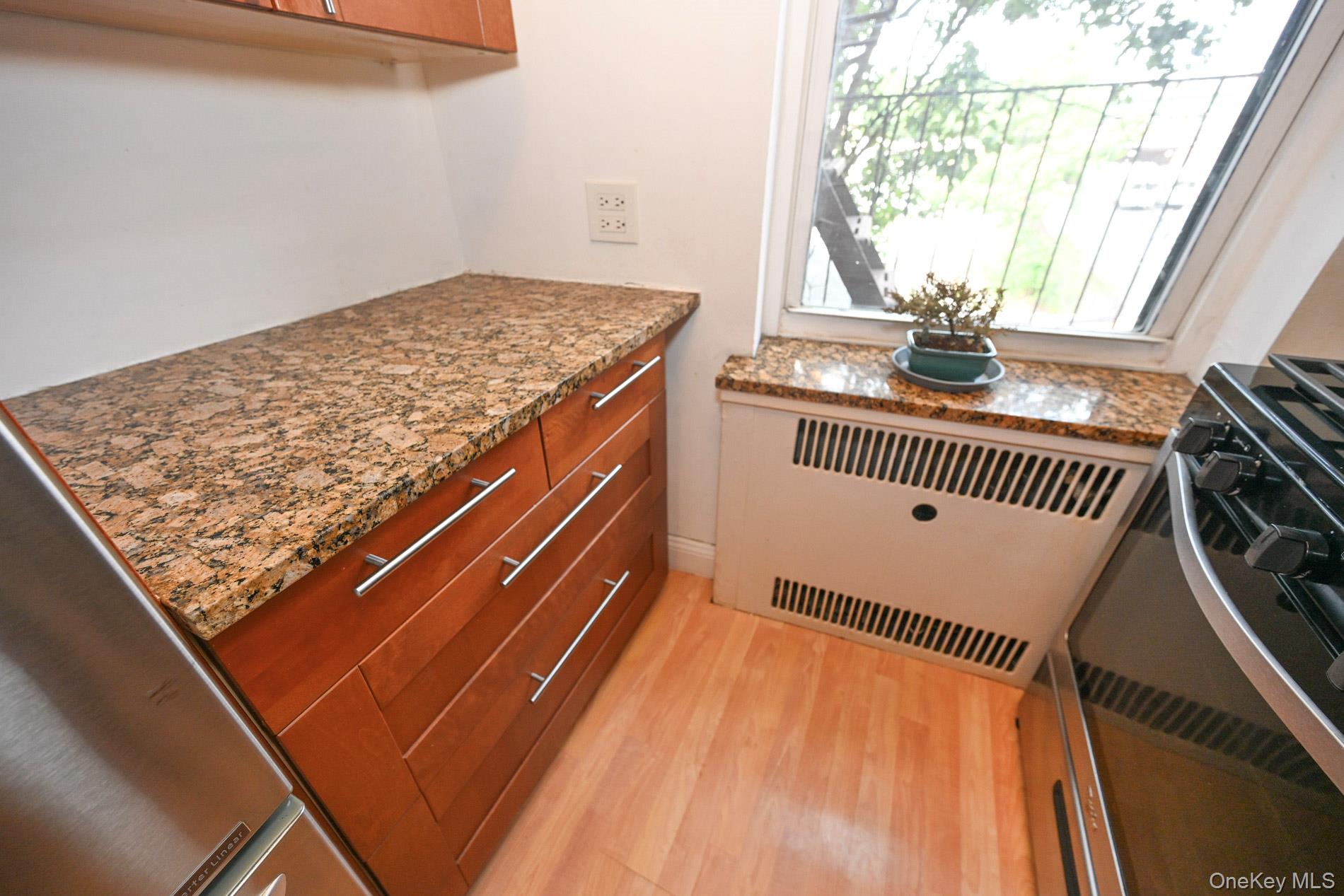 61-41 Saunders Street B25 Property Photo 21
