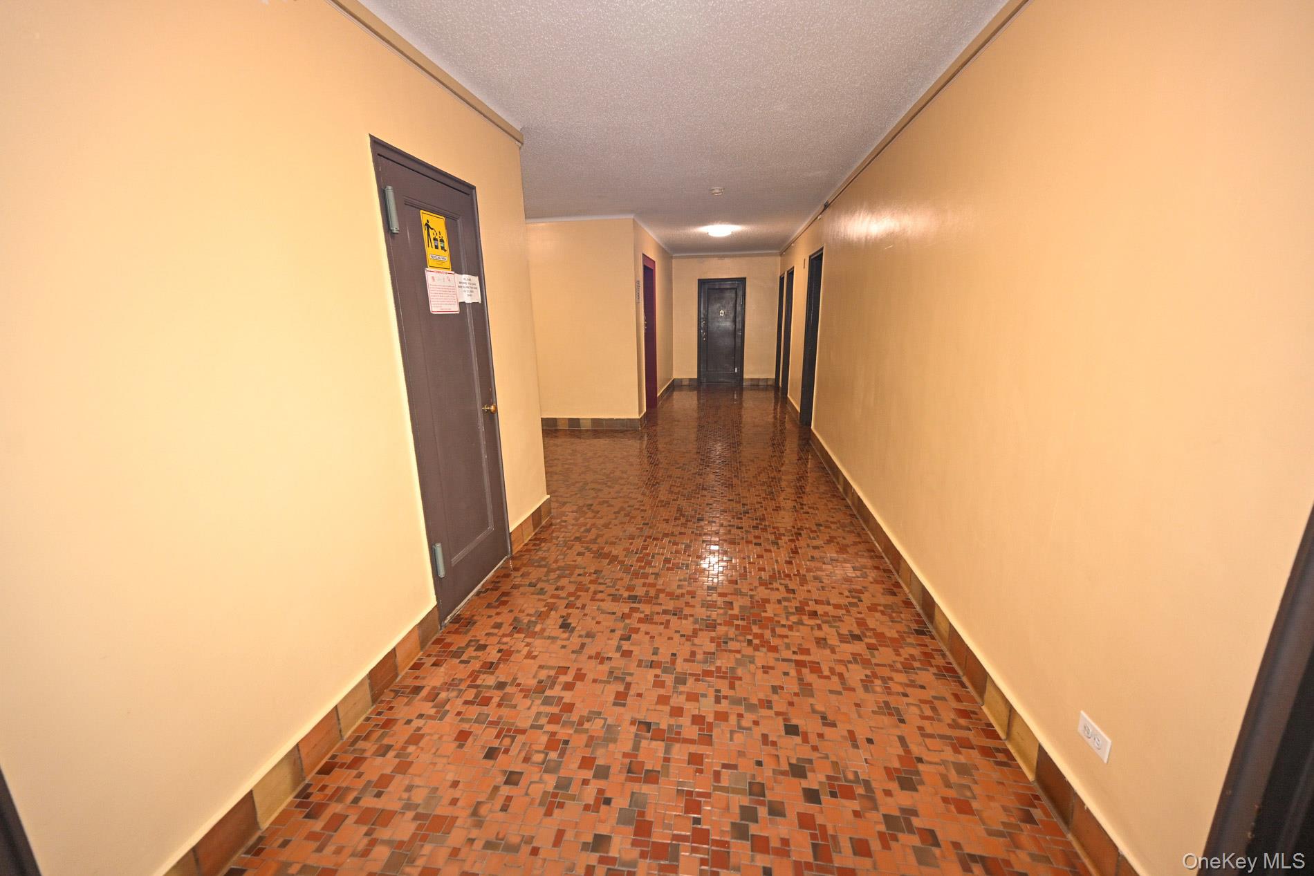 61-41 Saunders Street B25 Property Photo 31