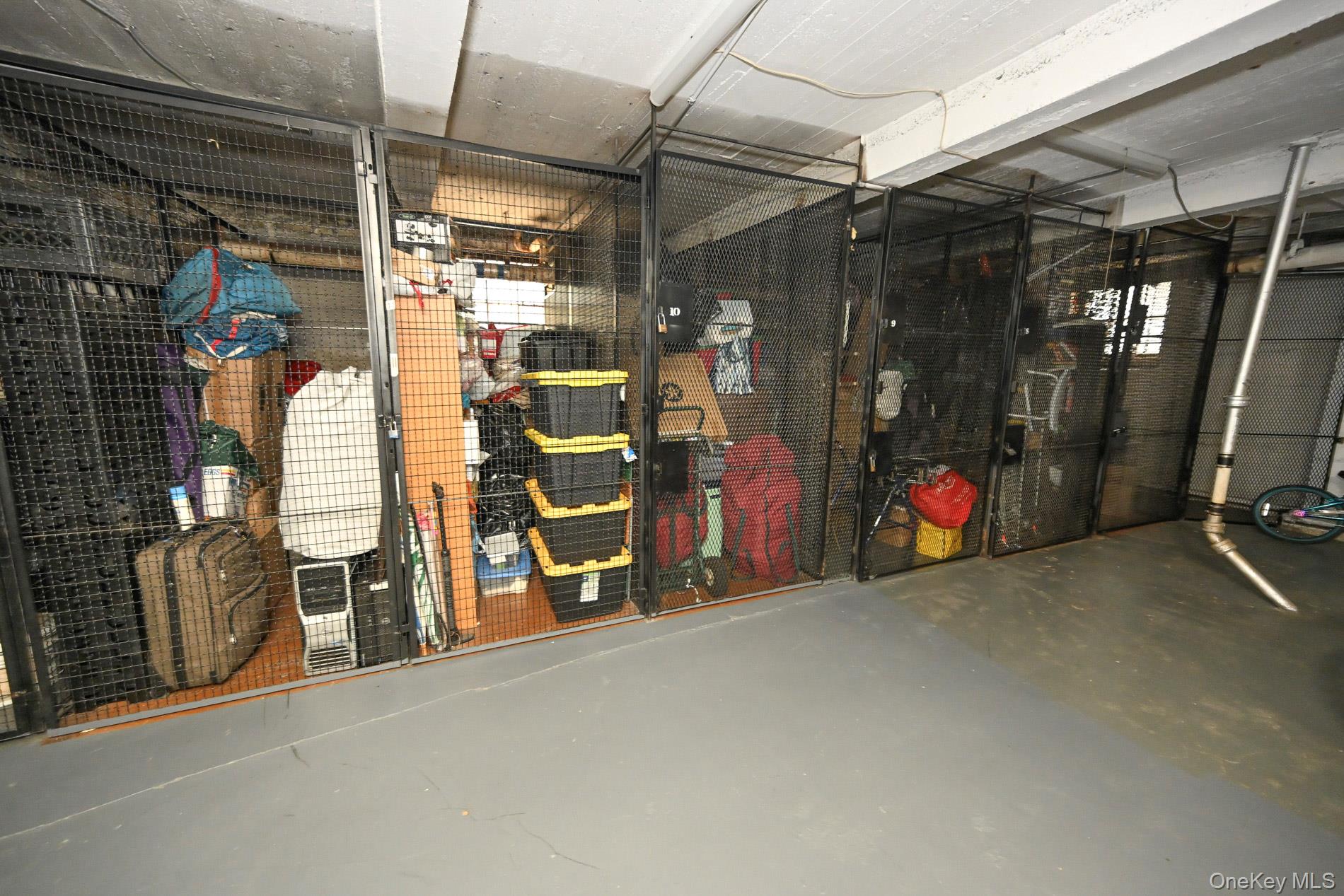 61-41 Saunders Street B25 Property Photo 38