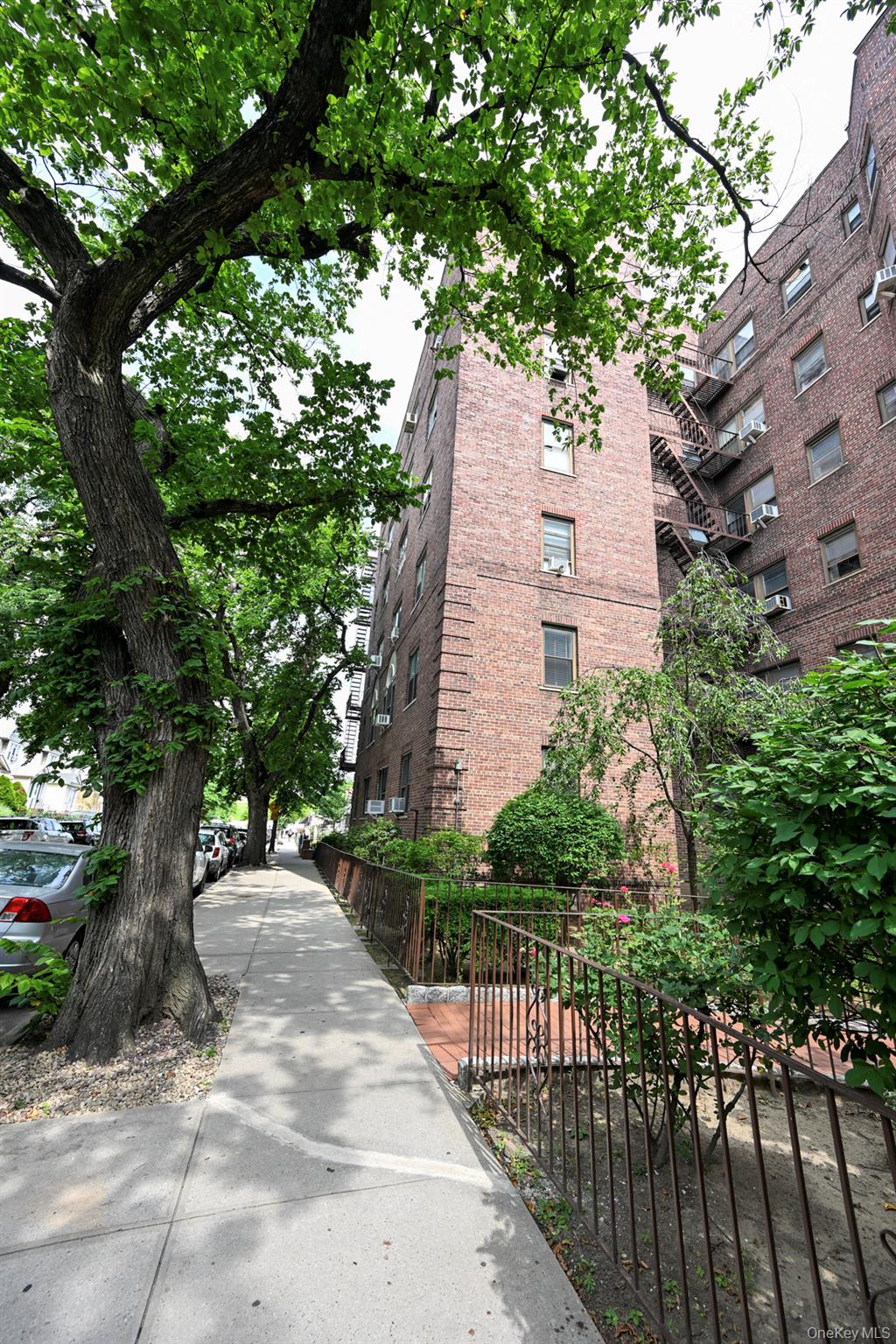 61-41 Saunders Street B25 Property Photo 41