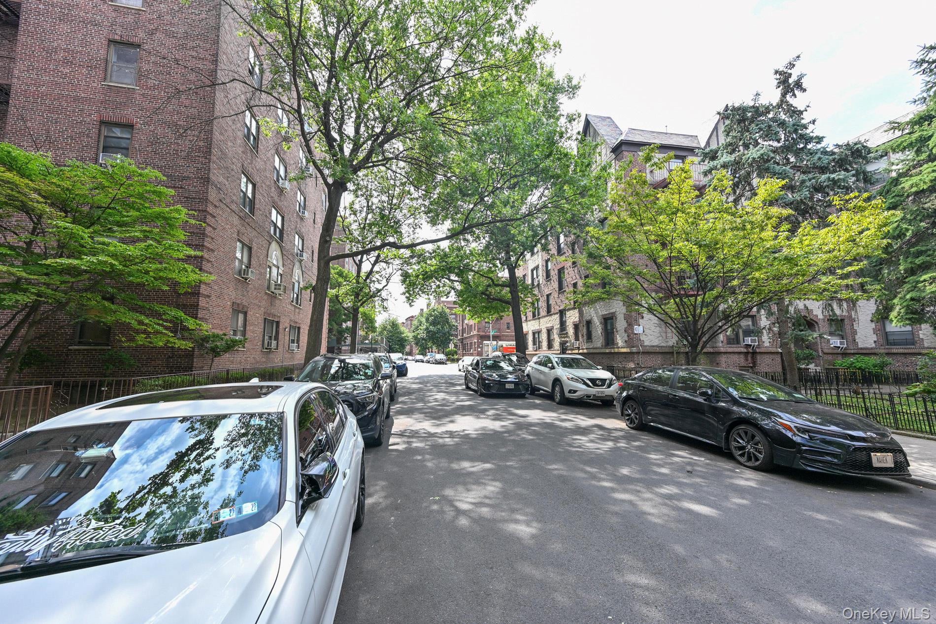 61-41 Saunders Street B25 Property Photo 42
