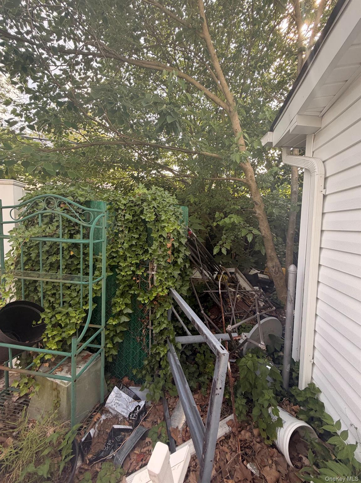 1862 E 37th Street Property Photo 6