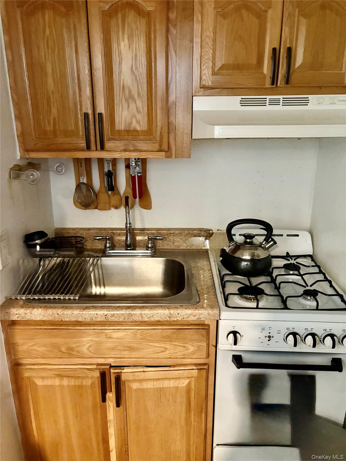 1309 E 52nd Street Property Photo 29