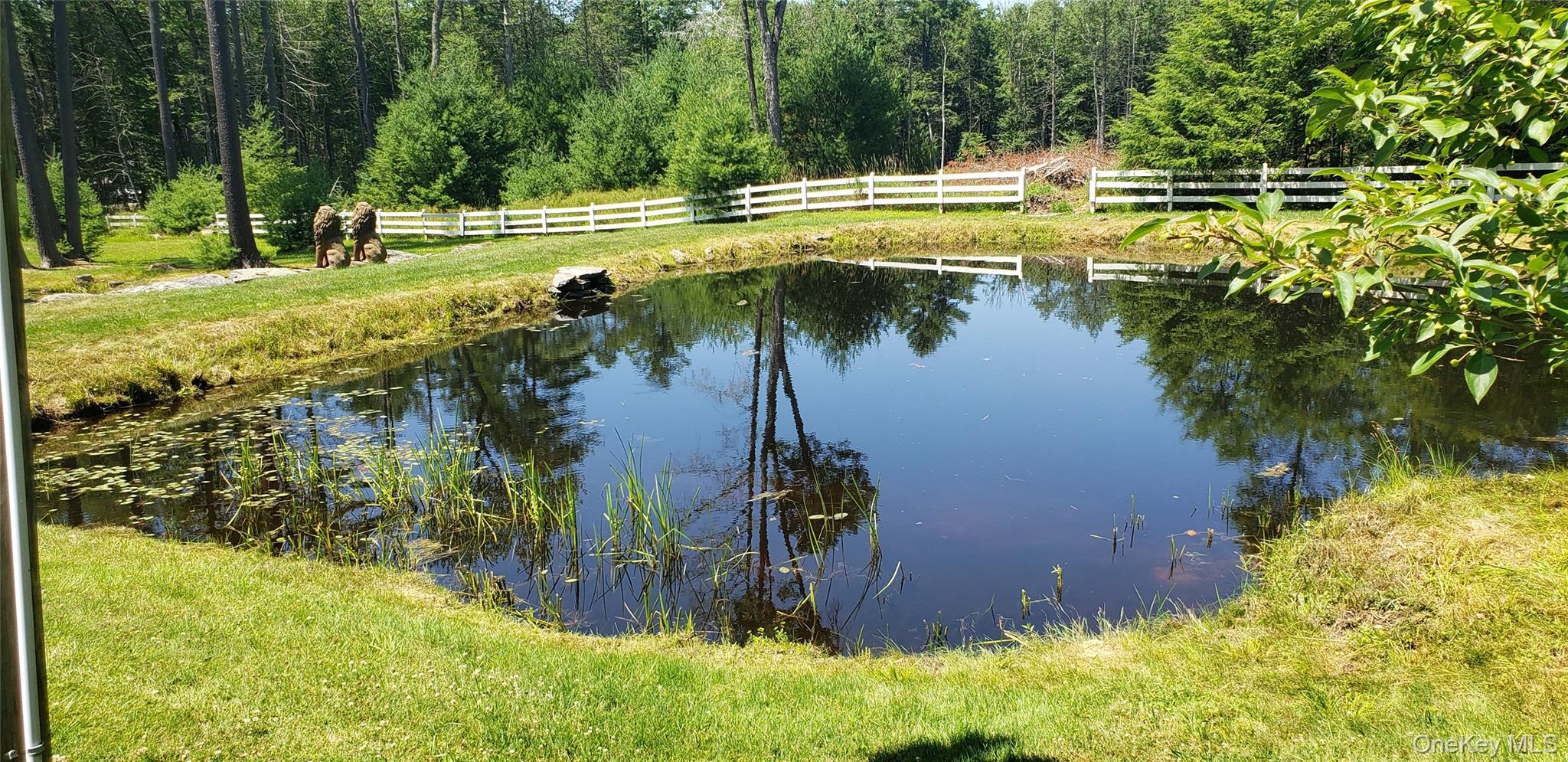 603 Katrina Falls Road Property Photo 4
