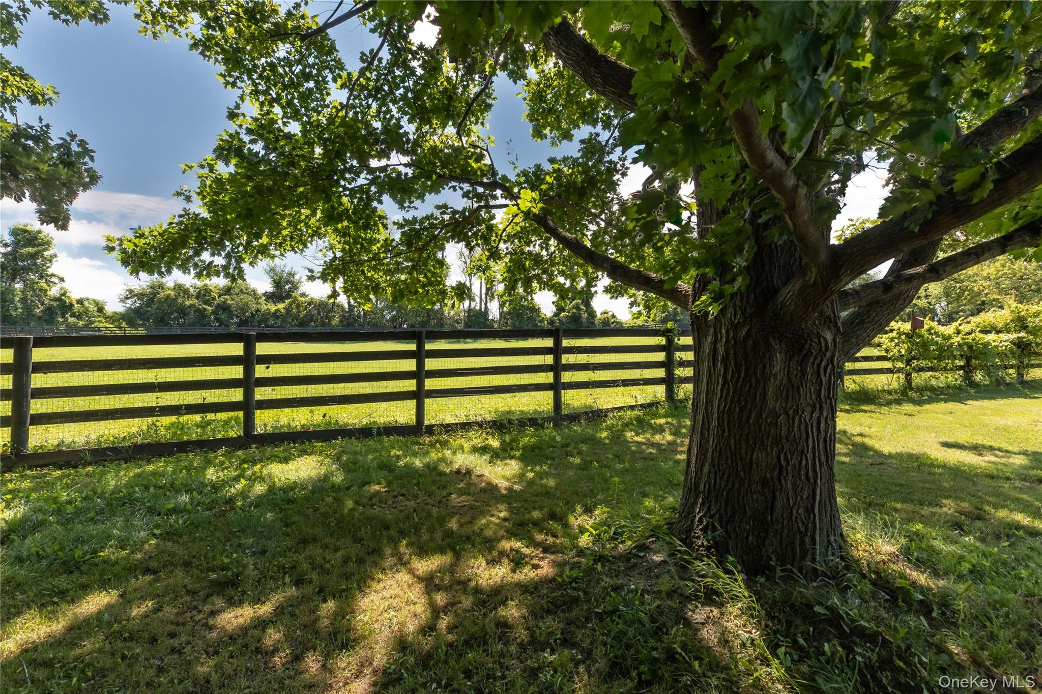 62 Gannon Road Property Photo 8