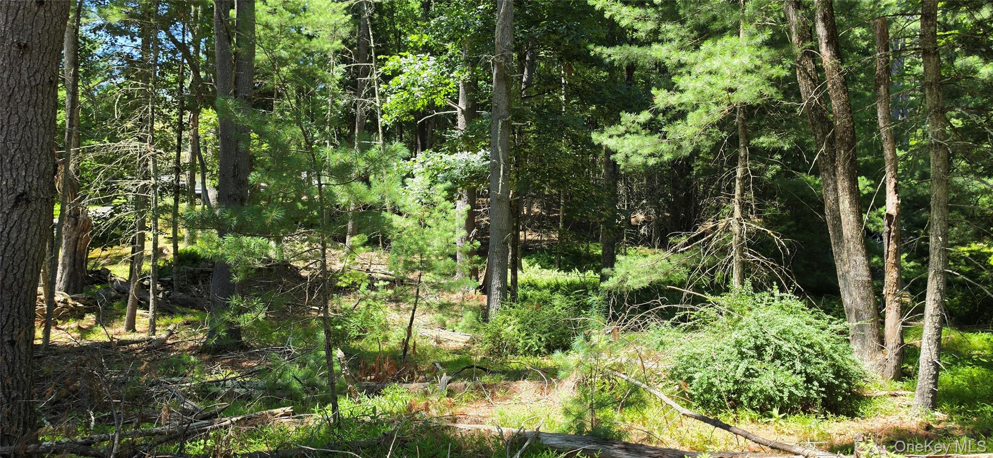Lot # 7 Irishtown Road Property Photo 1
