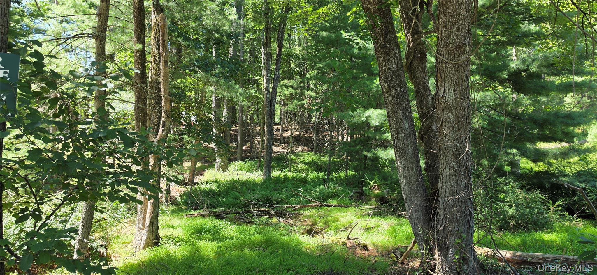 Lot # 7 Irishtown Road Property Photo 3