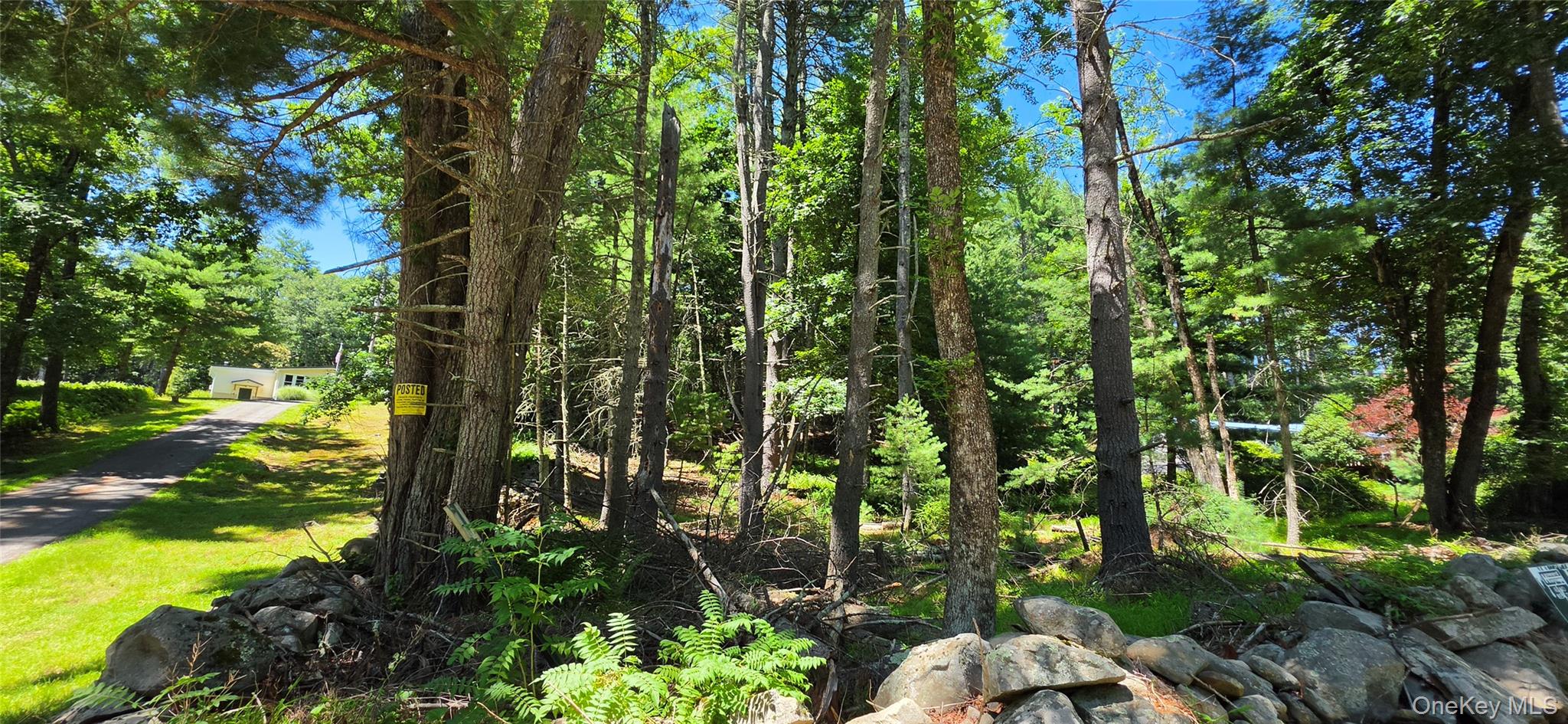 Lot # 7 Irishtown Road Property Photo 4