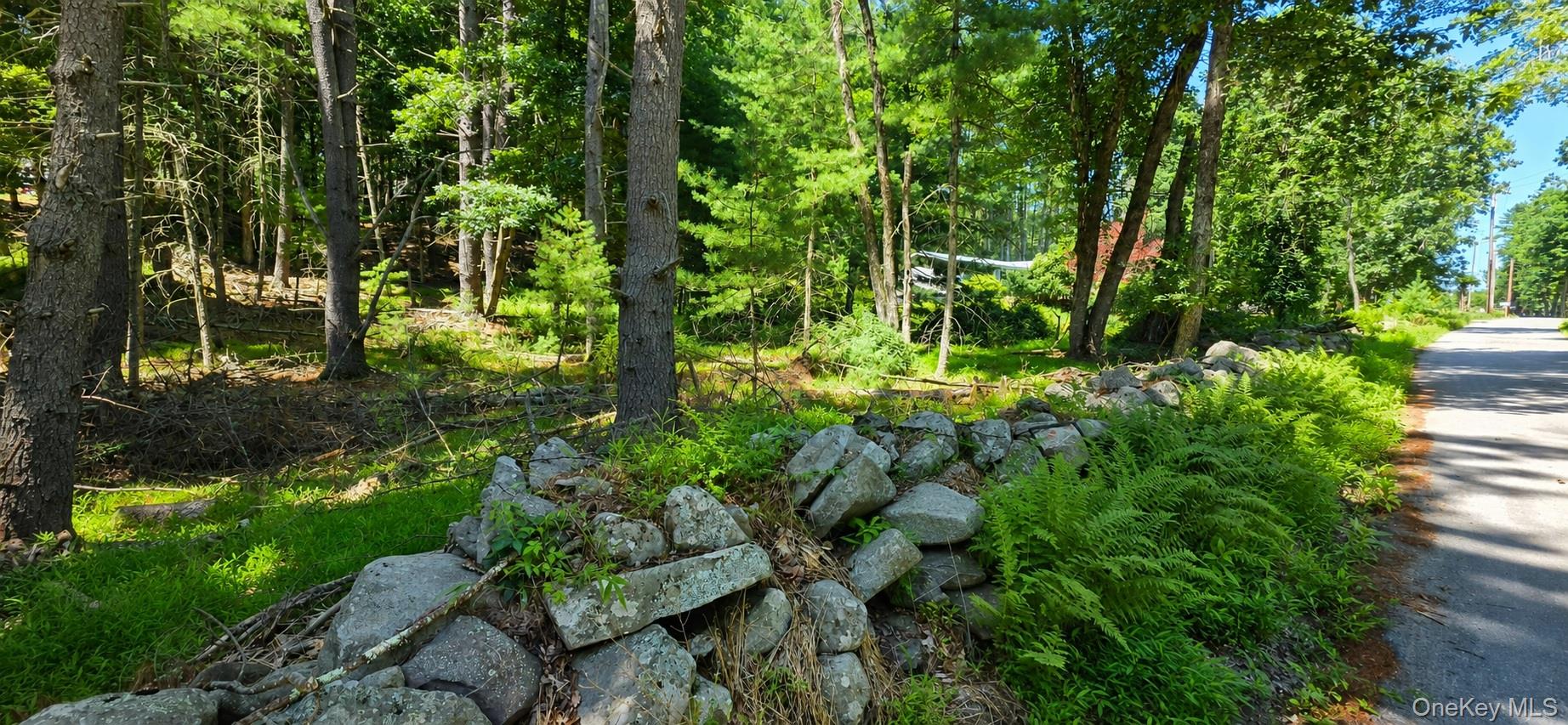 Lot # 7 Irishtown Road Property Photo 5