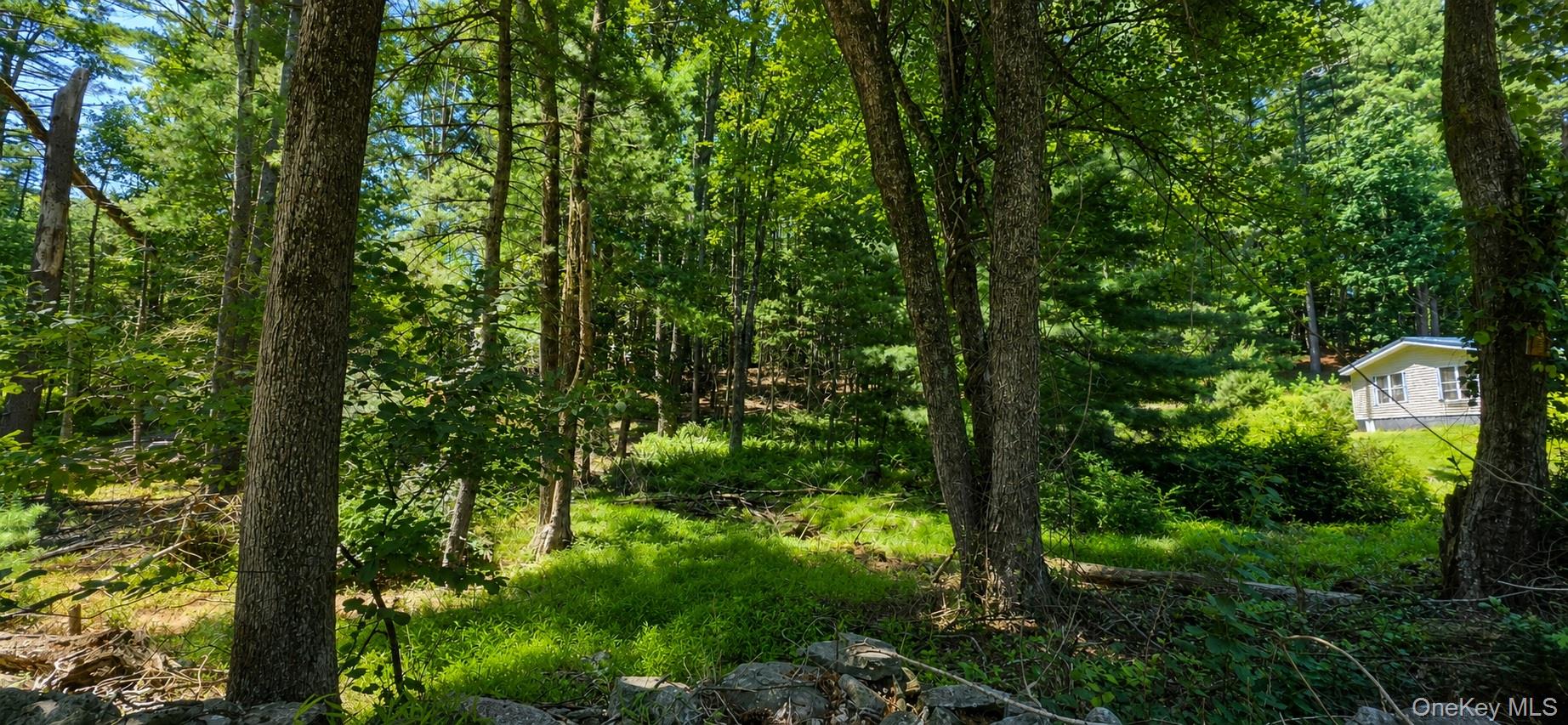Lot # 7 Irishtown Road Property Photo 6