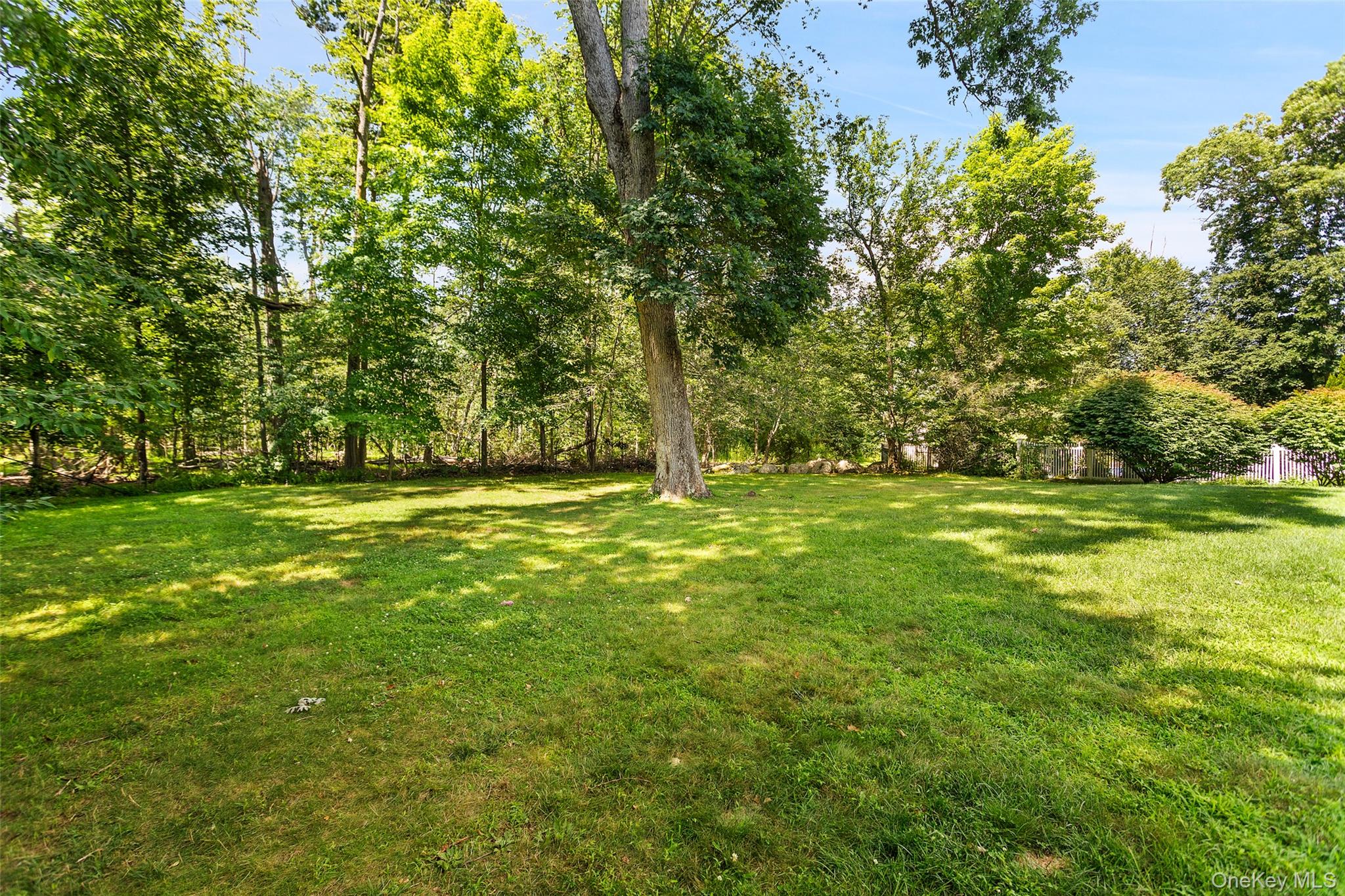 57 Travis Road Property Photo 42