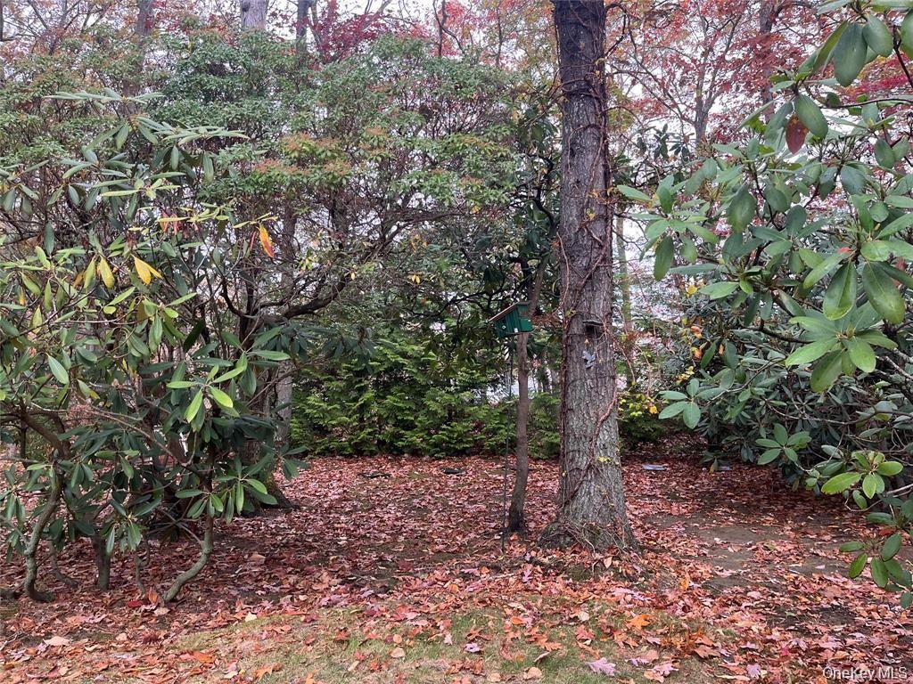 Lot 16 Fox Hunt Lane Property Photo 1