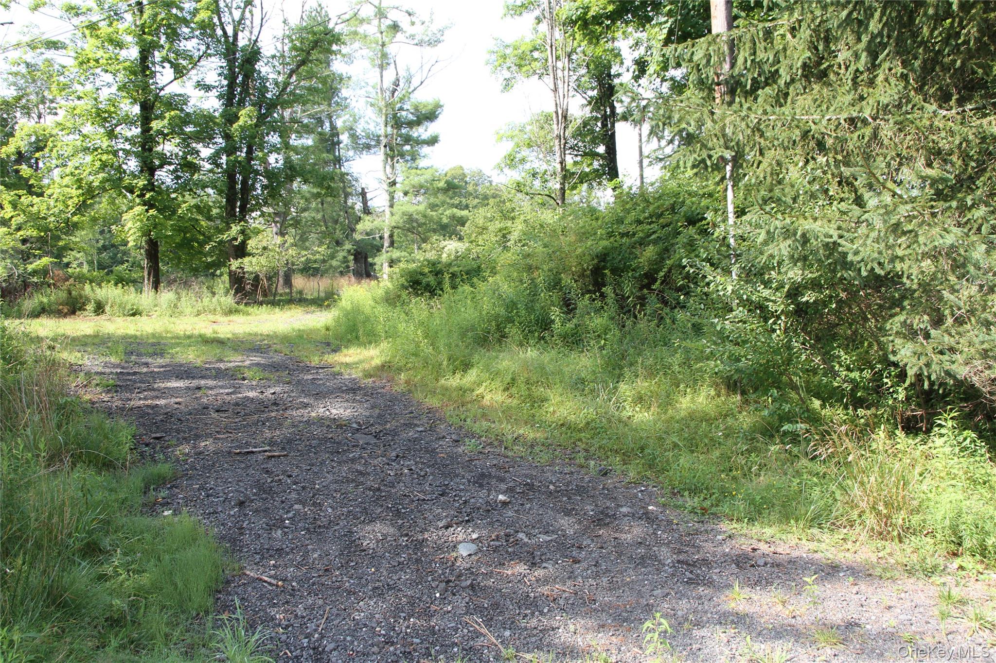 137 Old Turnpike Road Property Photo 2
