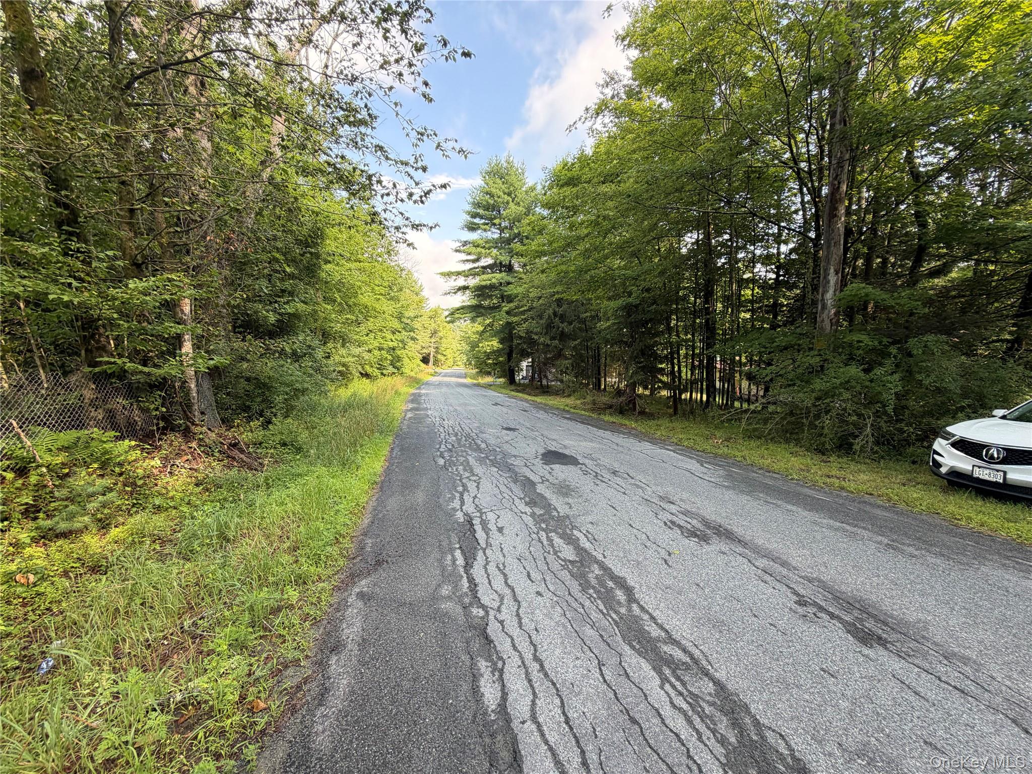 137 Old Turnpike Road Property Photo 6