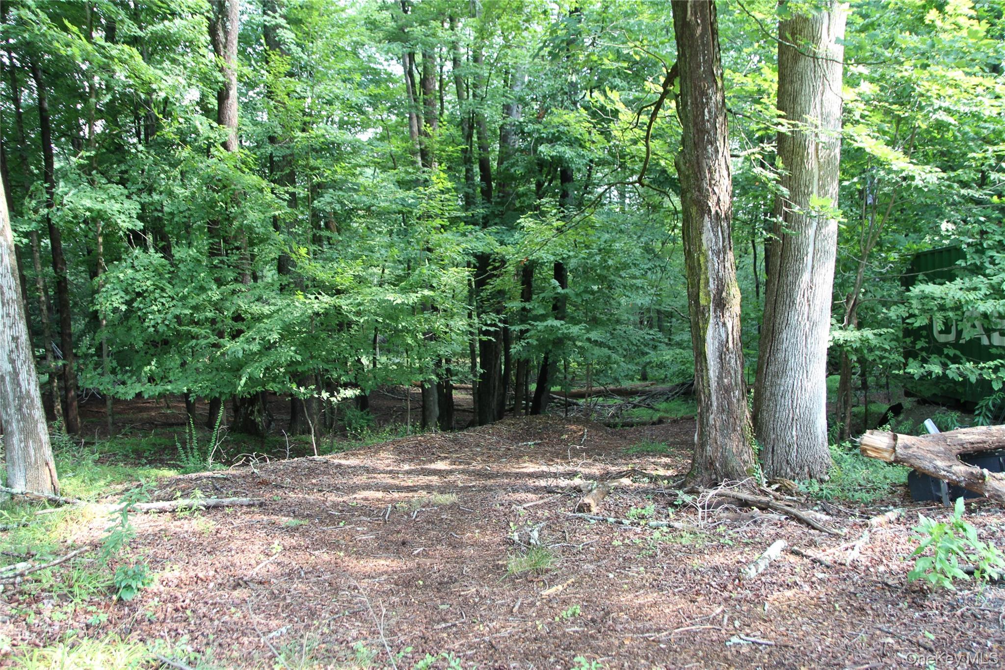 137 Old Turnpike Road Property Photo 7