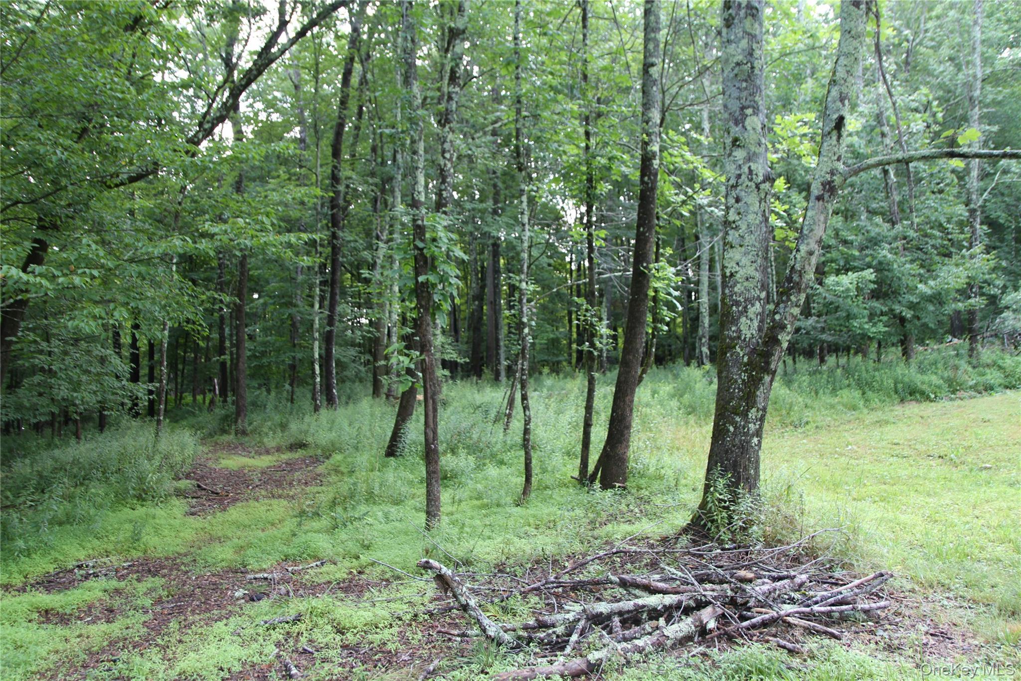 137 Old Turnpike Road Property Photo 10