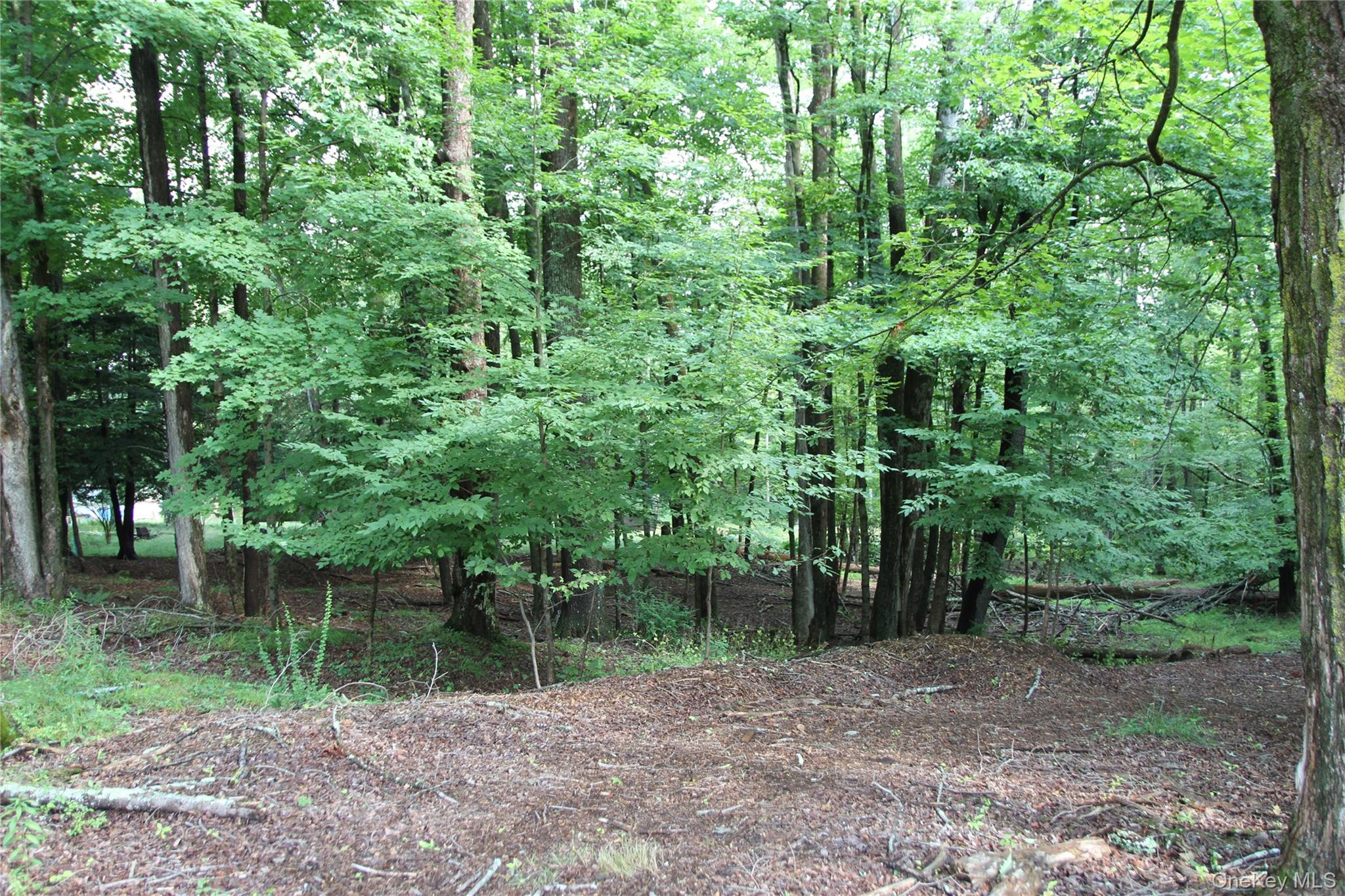 137 Old Turnpike Road Property Photo 13