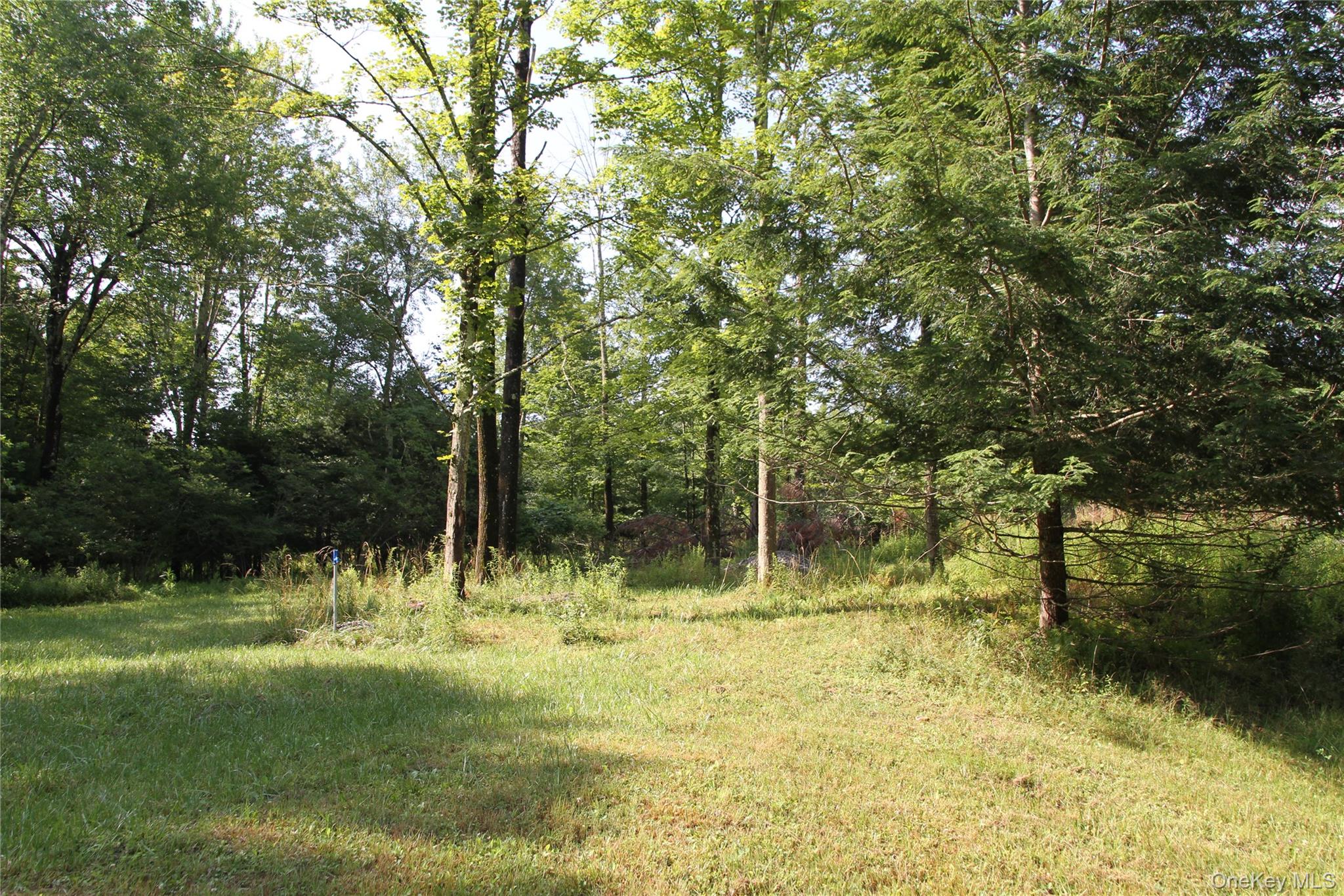137 Old Turnpike Road Property Photo 15
