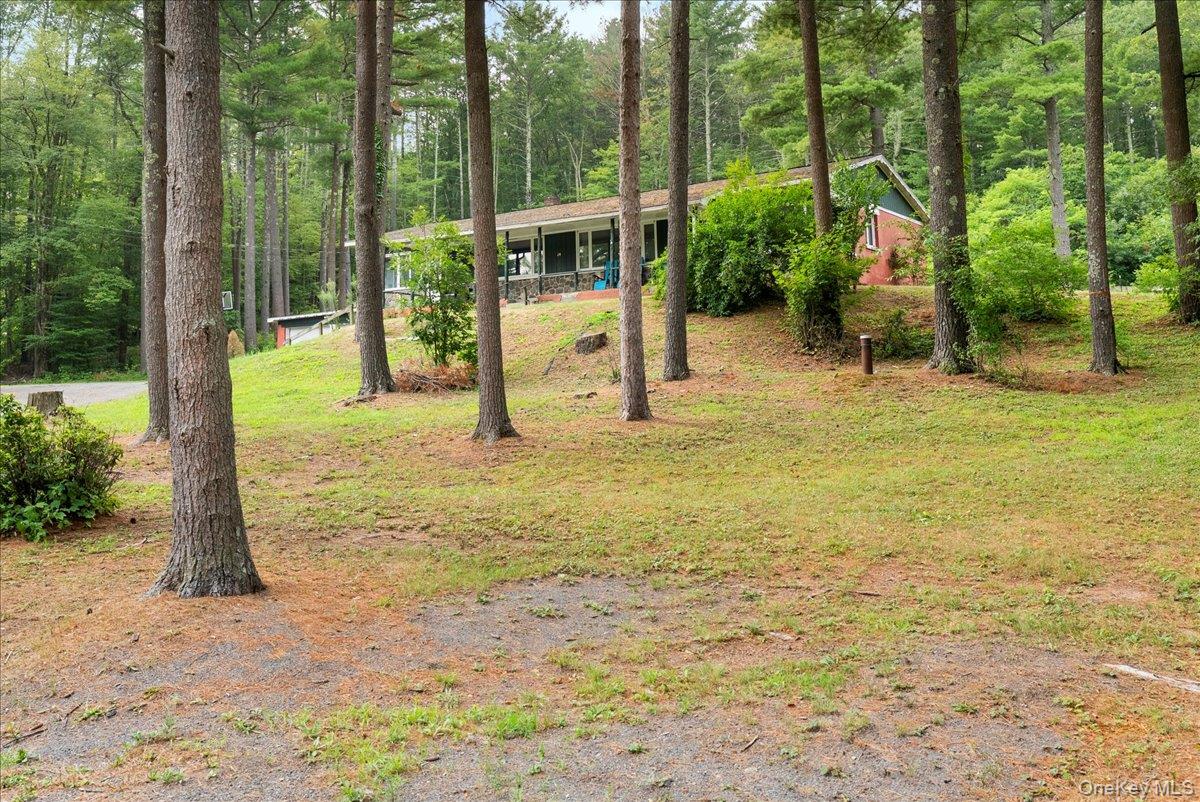 24 Alpine Drive Property Photo 35