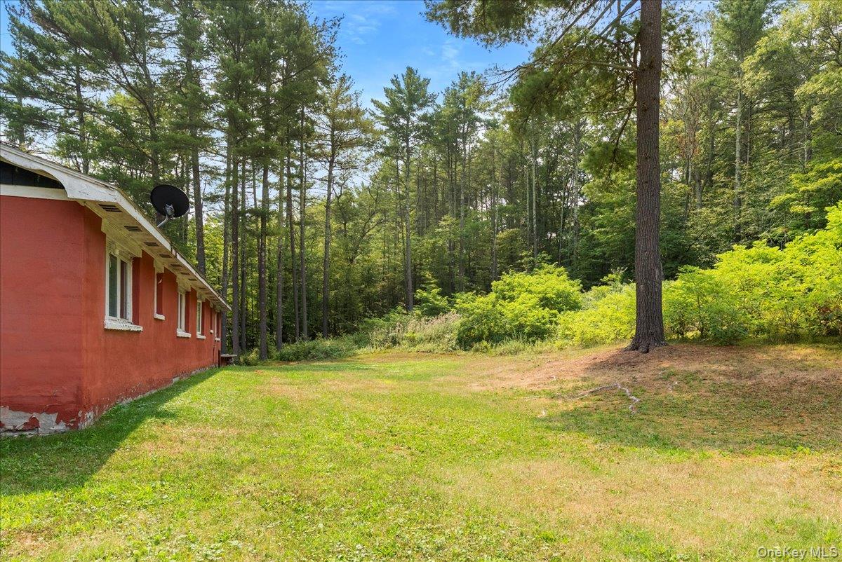 24 Alpine Drive Property Photo 38