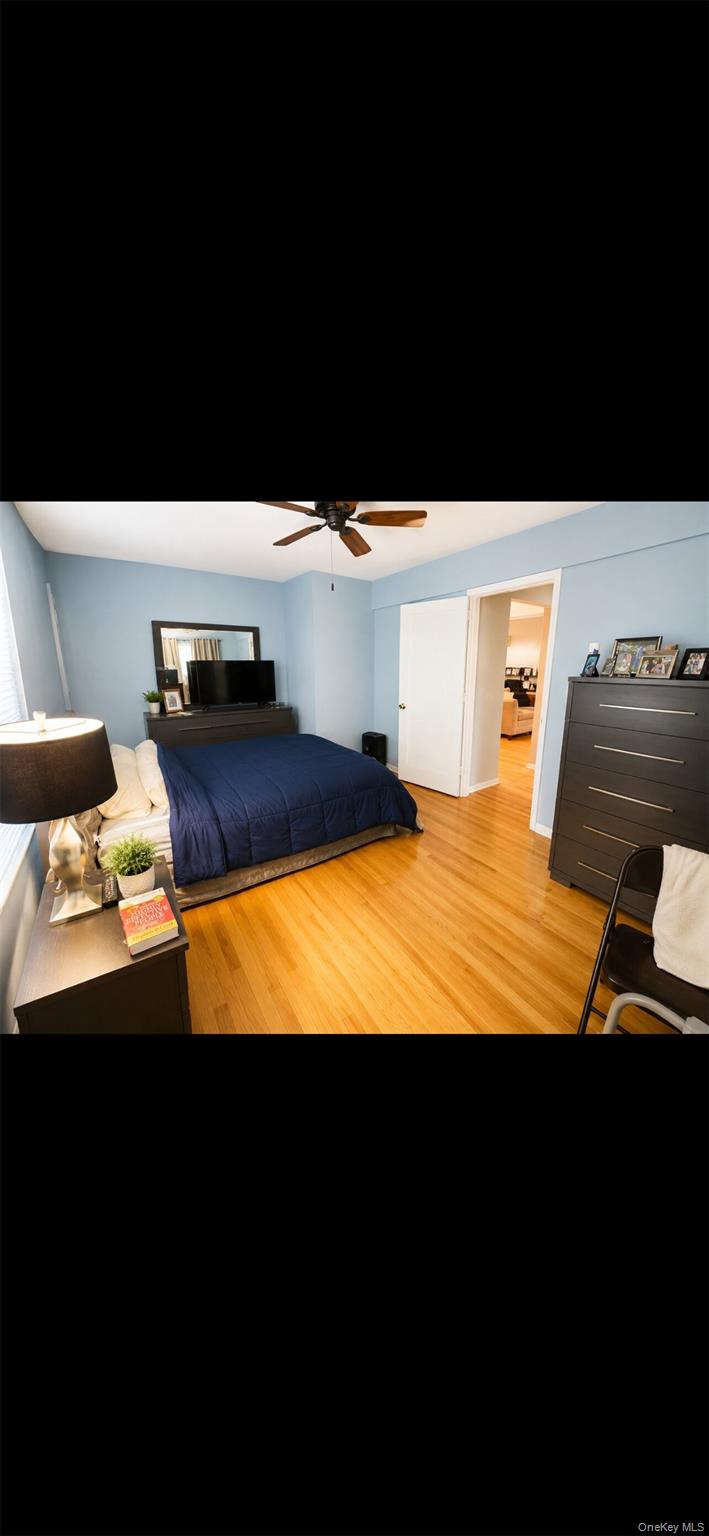 194 Smith Street 1m Property Photo 5