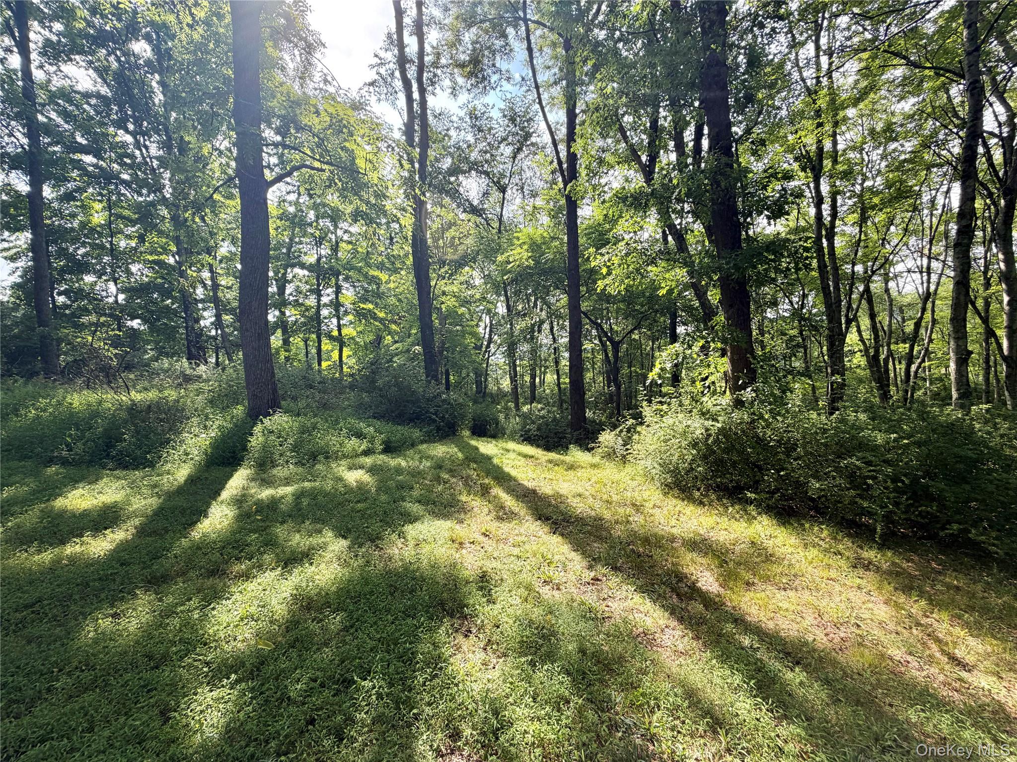 468 Decker Road Property Photo 31