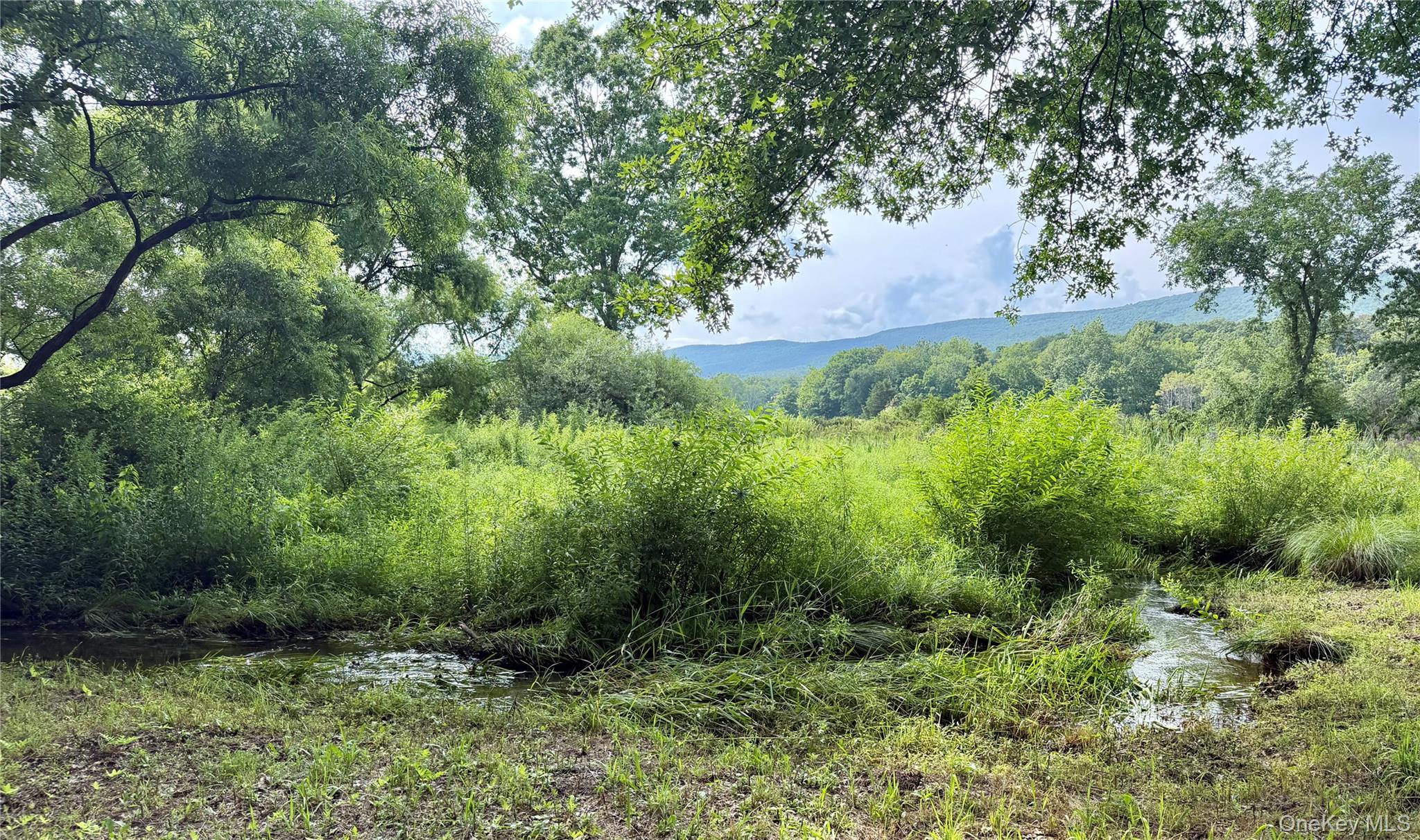 468 Decker Road Property Photo 32