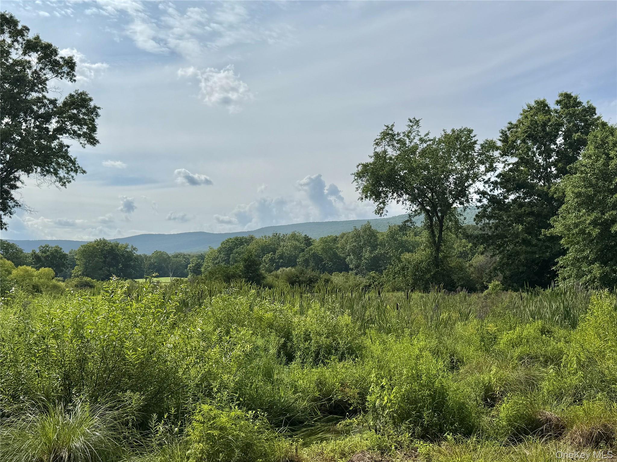 468 Decker Road Property Photo 33