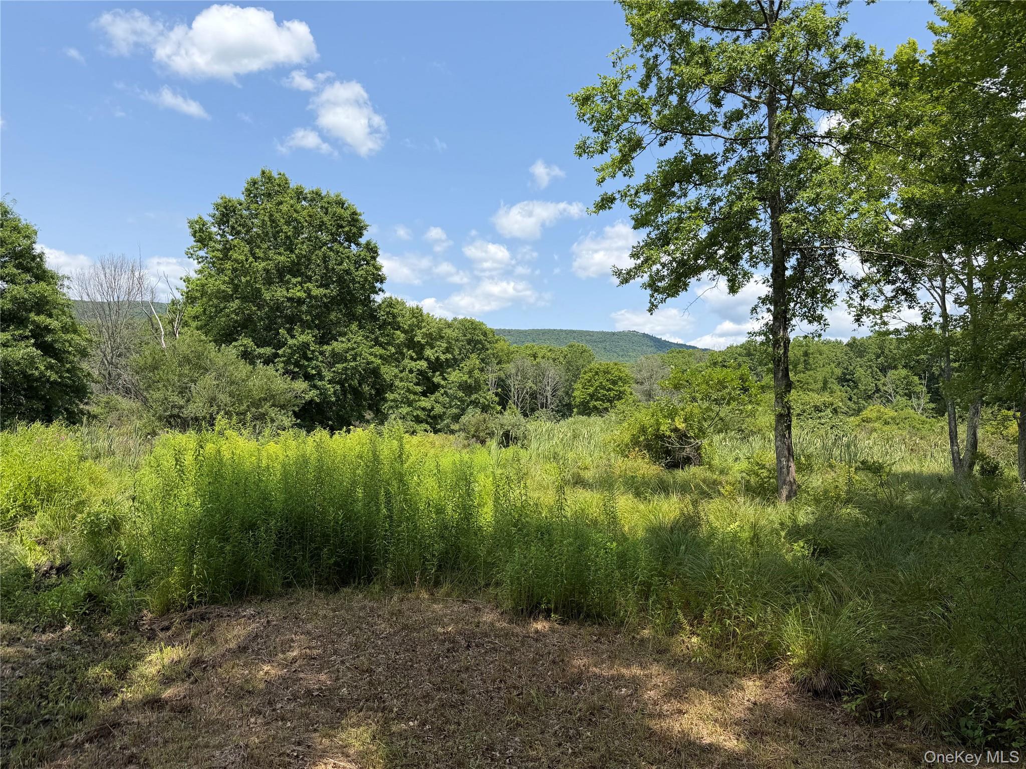 468 Decker Road Property Photo 34