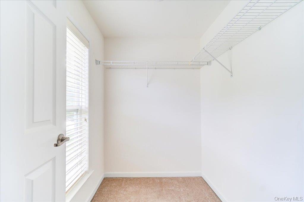 56 Plum Court Drive Property Photo 33