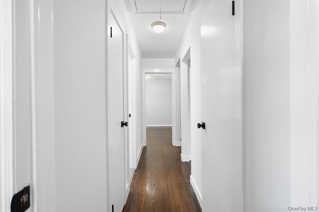 53 Elizabeth Drive Property Photo 18