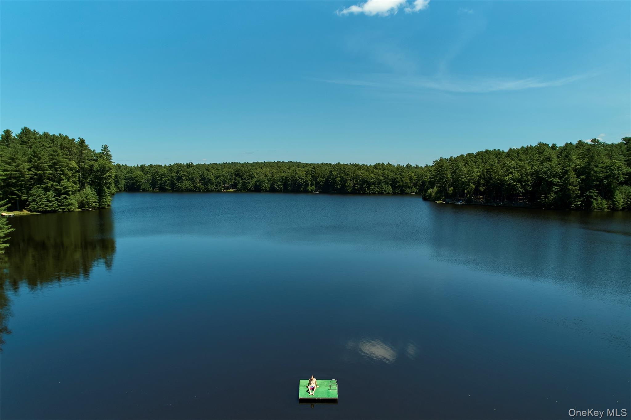 167 Timber Lake Drive Property Photo 33