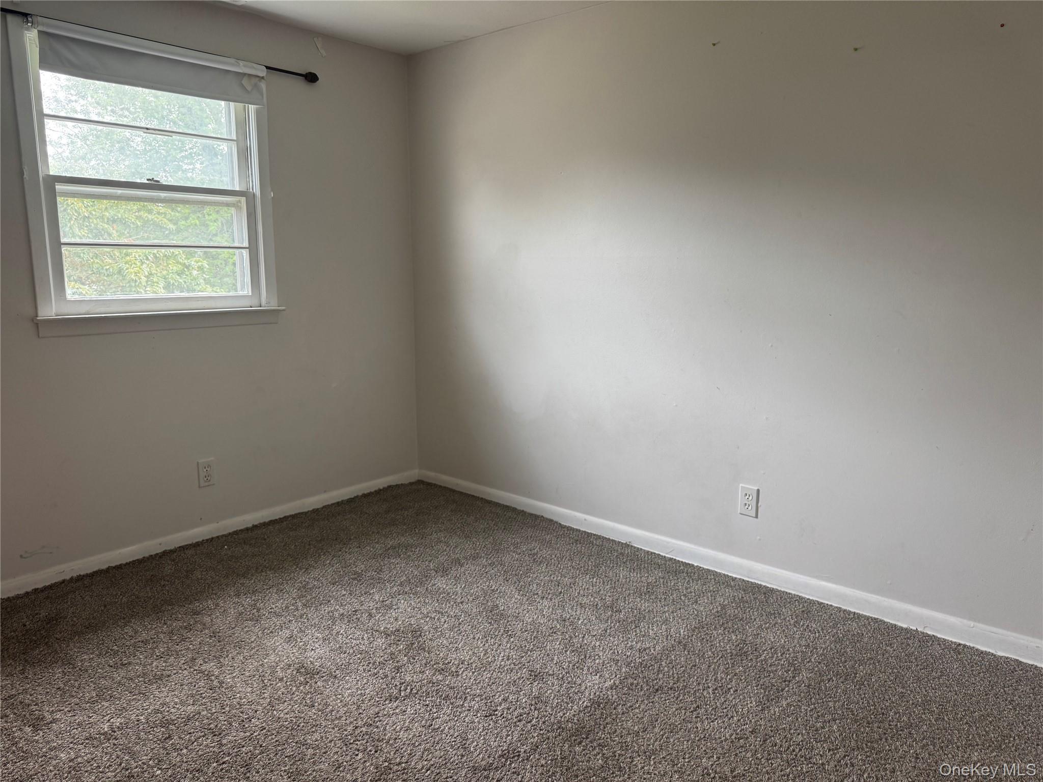 124 Parkdale Drive Property Photo 6