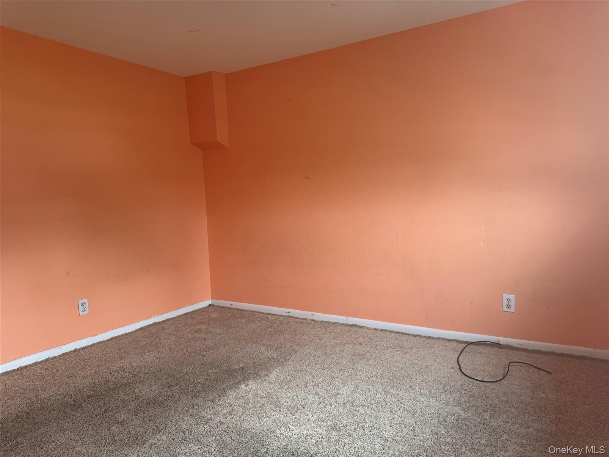 124 Parkdale Drive Property Photo 19