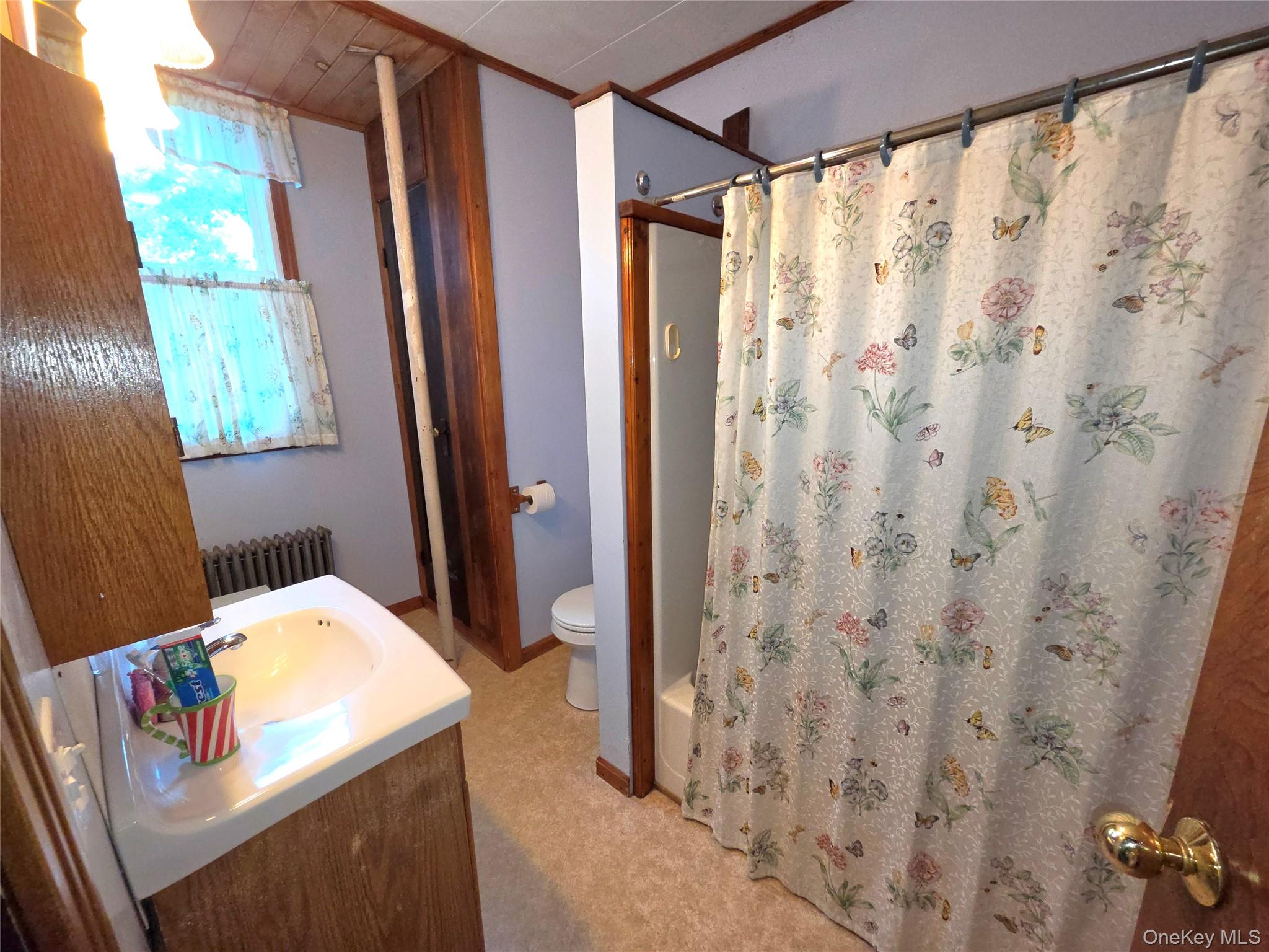 3019 Rt 17b Property Photo 15