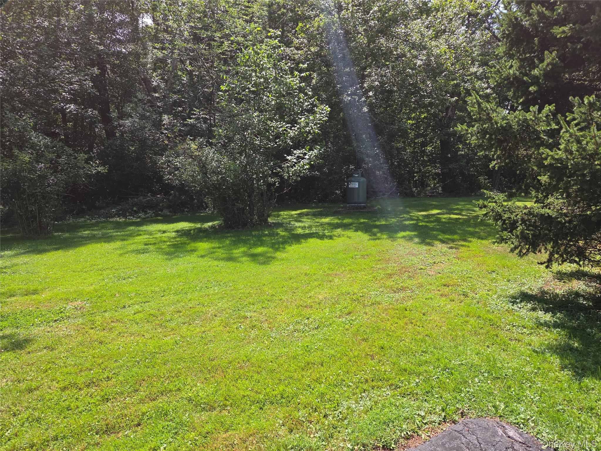 3019 Rt 17b Property Photo 27