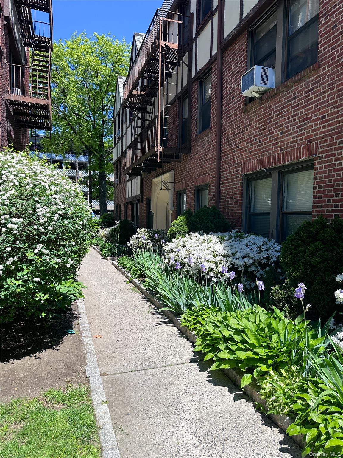 5 Greenridge Avenue B4 Property Photo 28