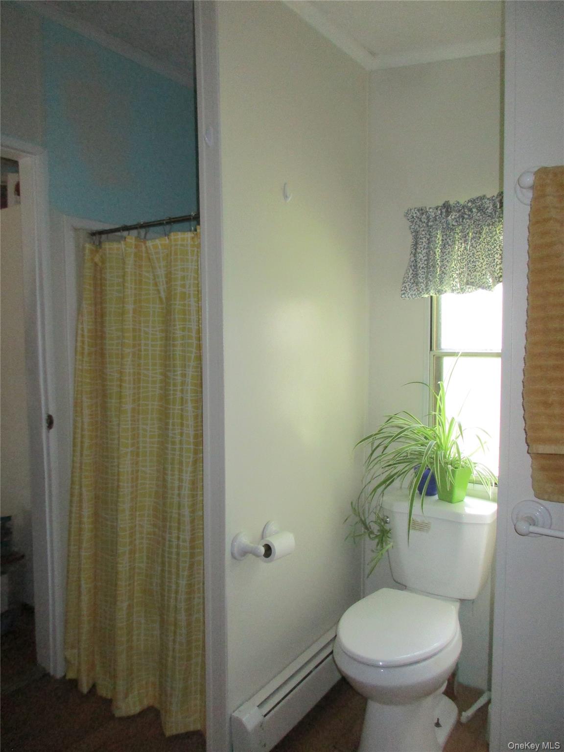 56 Sleepy Hollow Road Property Photo 24