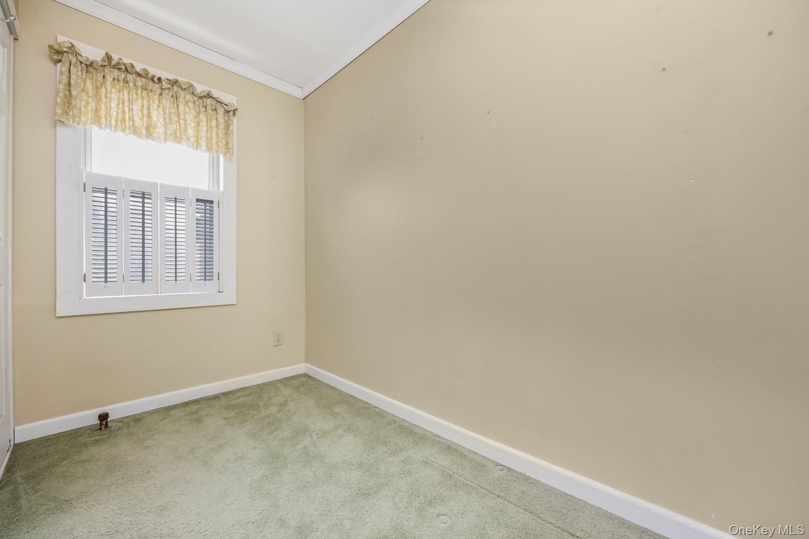 65-30 78th Street Property Photo 17