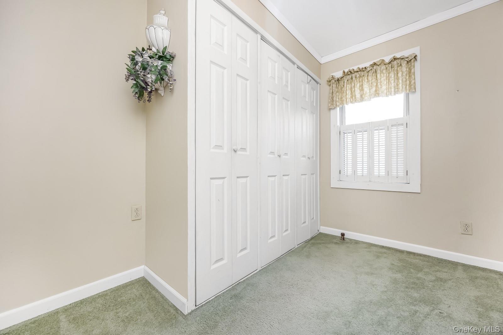 65-30 78th Street Property Photo 18