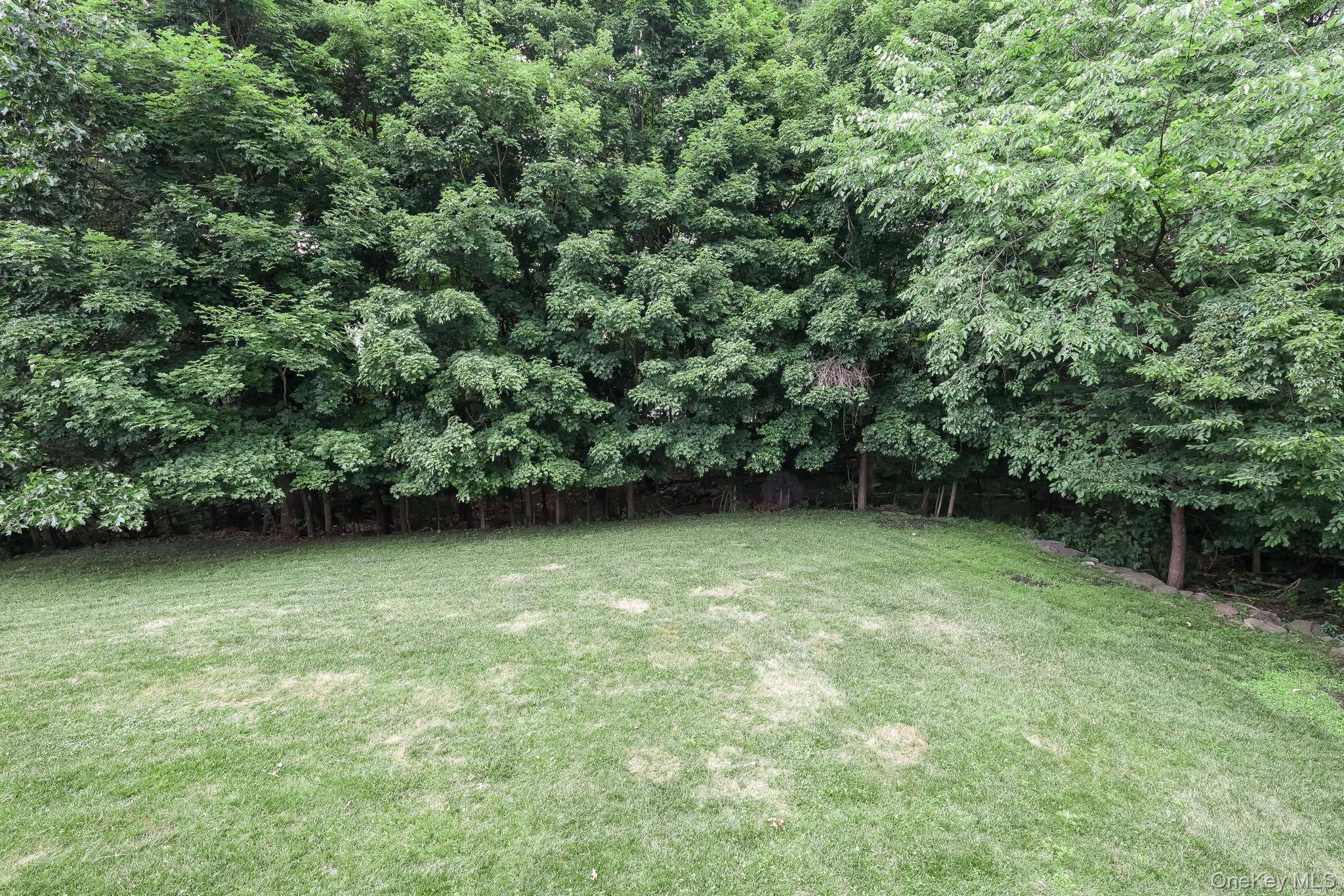 44 Ramblewood Drive Property Photo 35