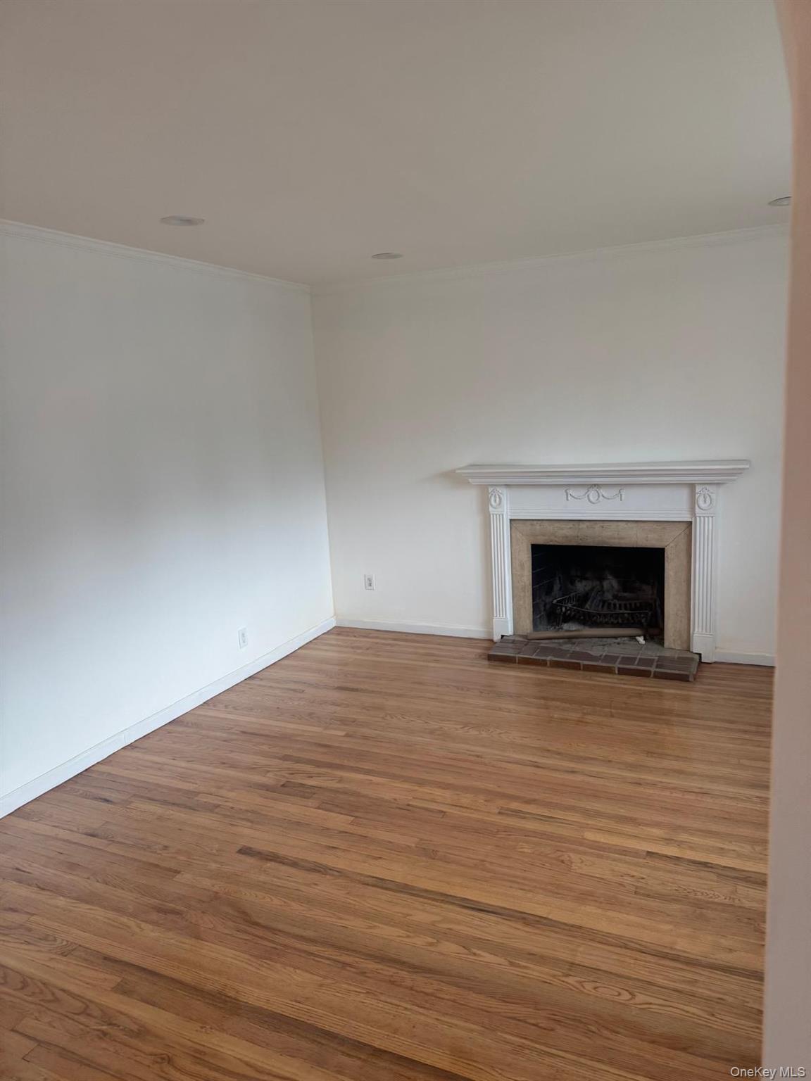 14 Larch Street Property Photo 4