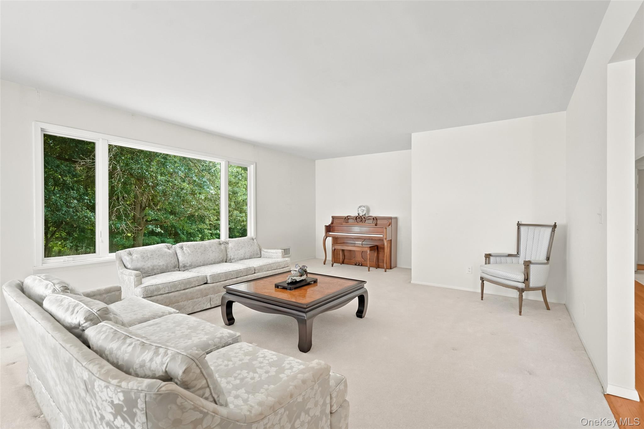 8 Palma Drive Property Photo 5