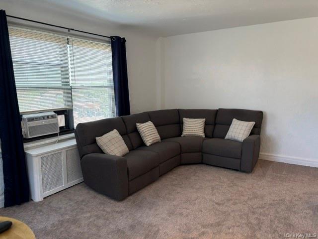 141 Woodmere Boulevard 4b Property Photo 6