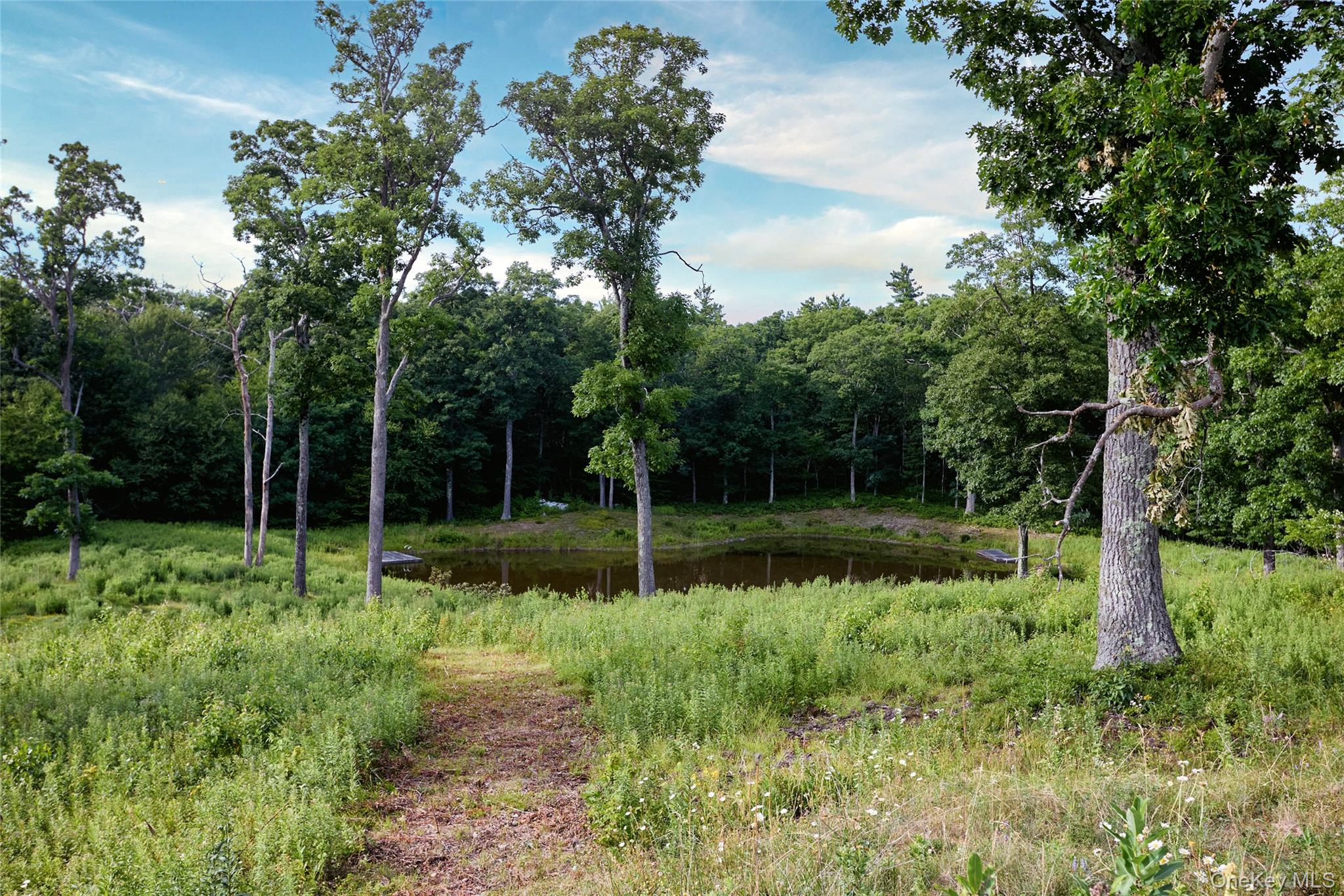 60 Blueberry Lane Property Photo 39