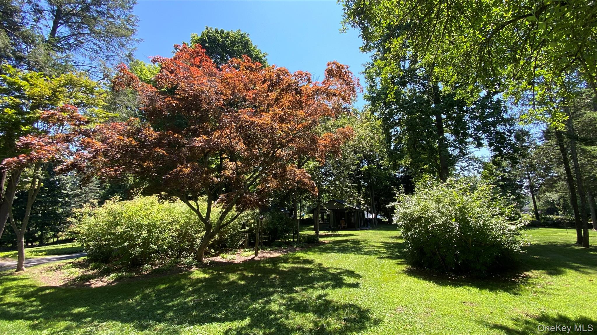 6 Renda Street Property Photo 3